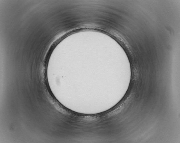 X0000110911029200907301537