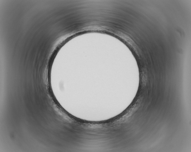 X0000110911030200907301537