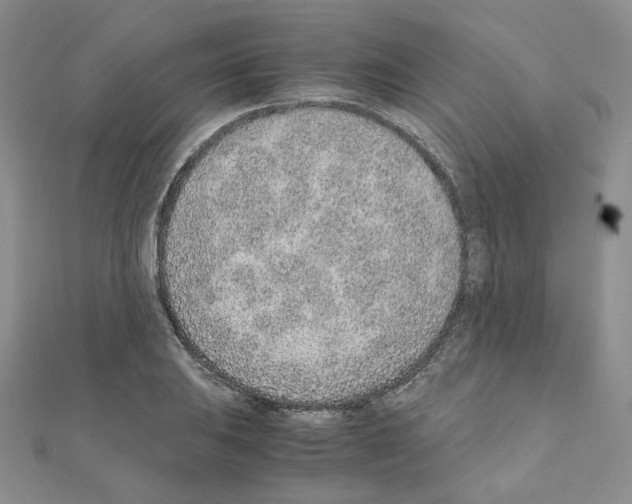 X0000110911031200907301537