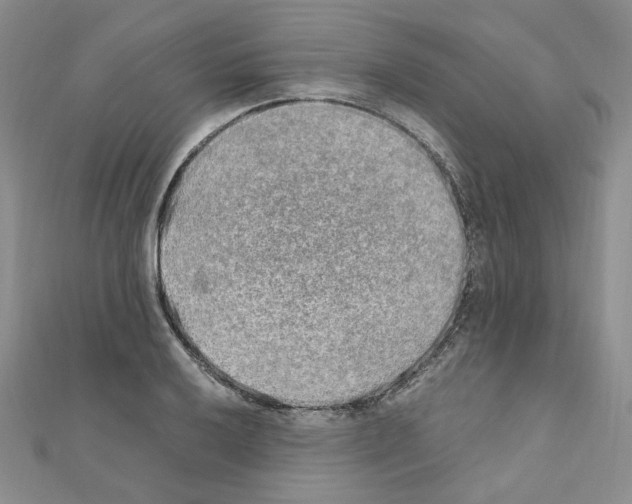 X0000110911032200907301537