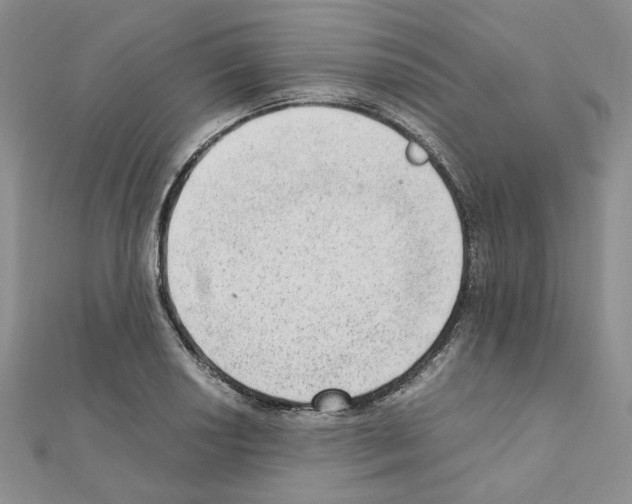 X0000110911034200907301537