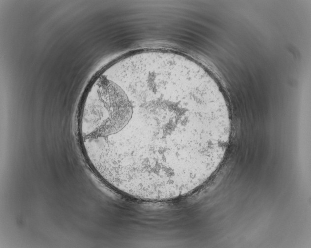 X0000110911037200907301537