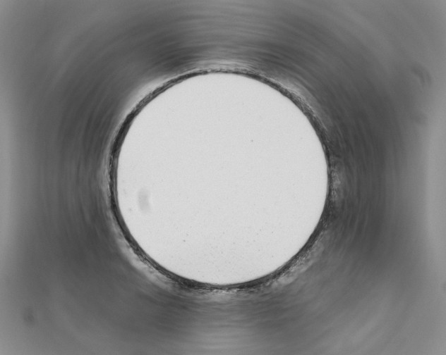 X0000110911038200907301537