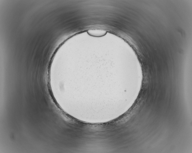 X0000110911040200907301537