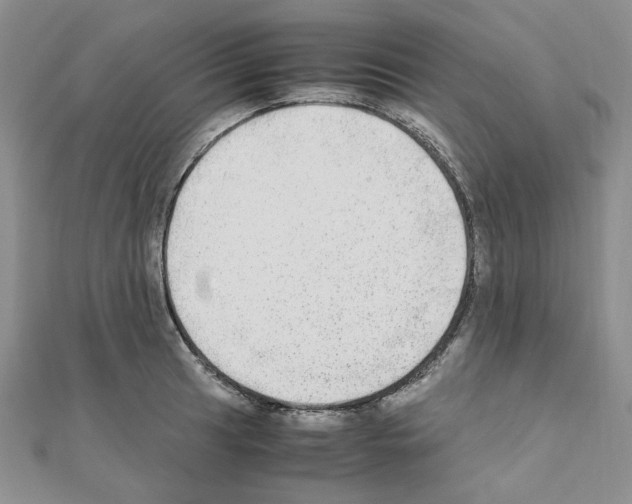 X0000110911041200907301537