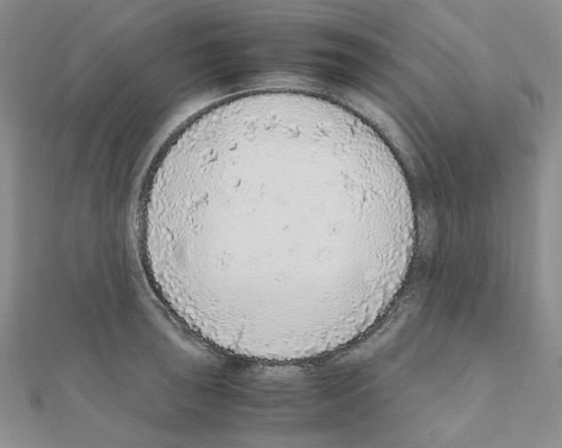 X0000110911043200907301537