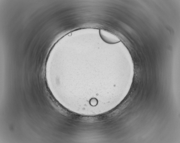 X0000110911044200907301537