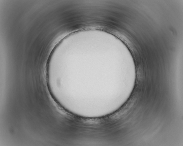 X0000110911047200907301537