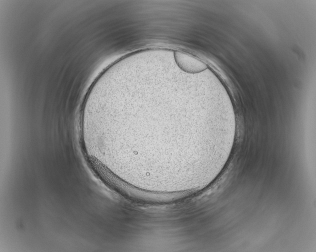 X0000110911048200907301537