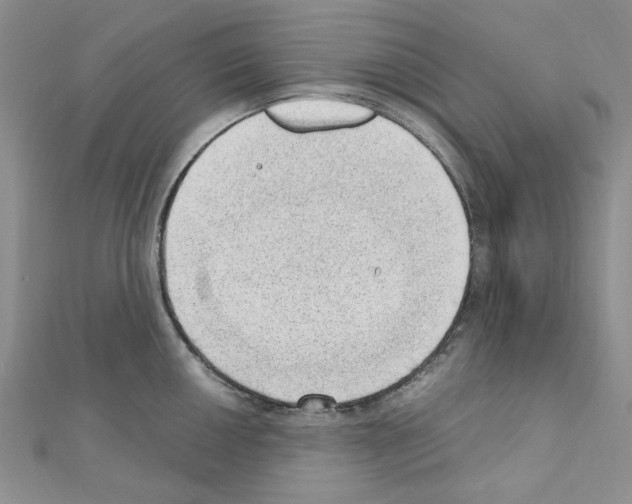 X0000110911050200907301537