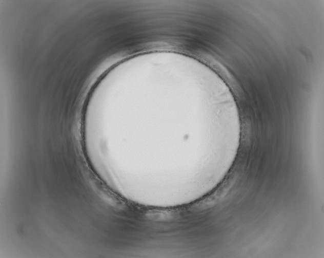 X0000110911051200907301537