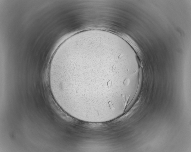 X0000110911052200907301537