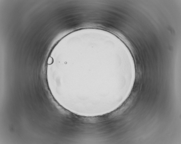 X0000110911053200907301537