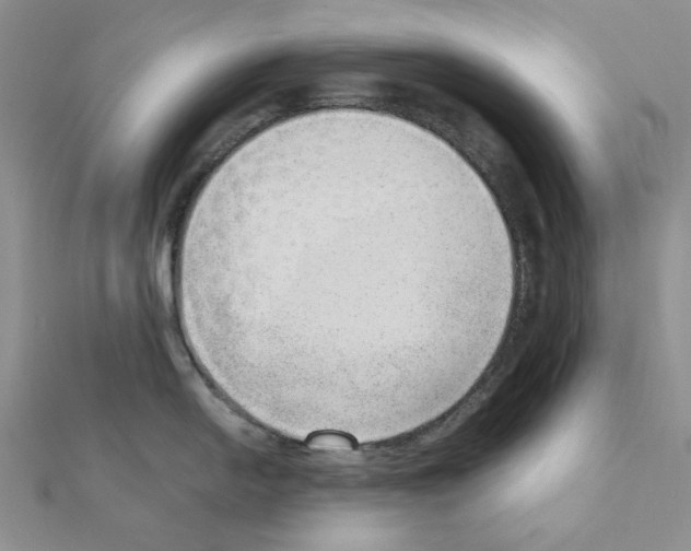 X0000110911054200907301537