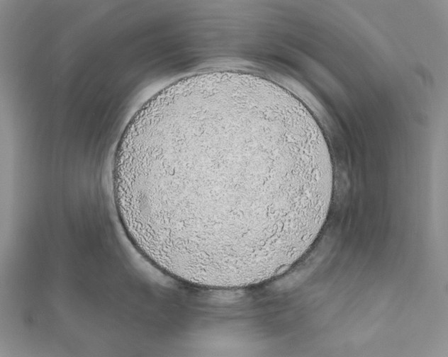 X0000110911055200907301537