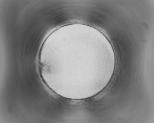 X0000110911056200907301537