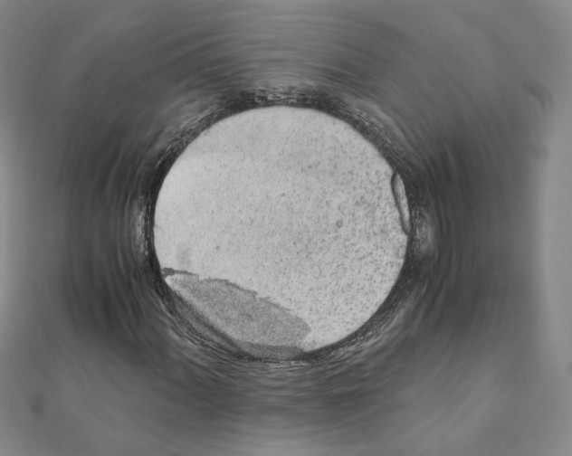 X0000110911060200907301537