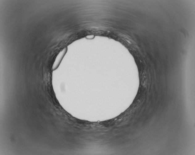 X0000110911061200907301537