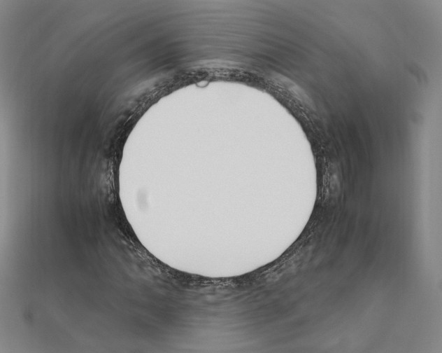 X0000110911062200907301537