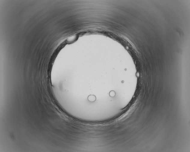 X0000110911065200907301536