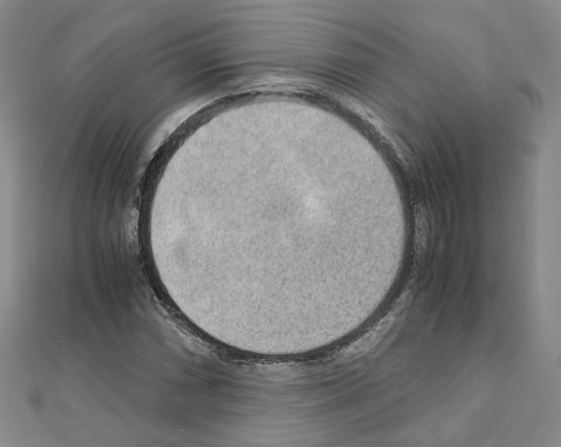 X0000110911066200907301536