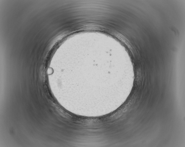 X0000110911067200907301536