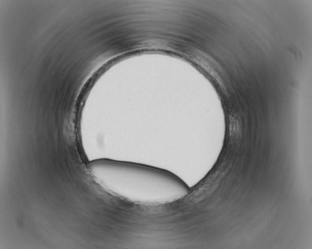 X0000110911068200907301536