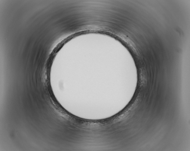 X0000110911070200907301536