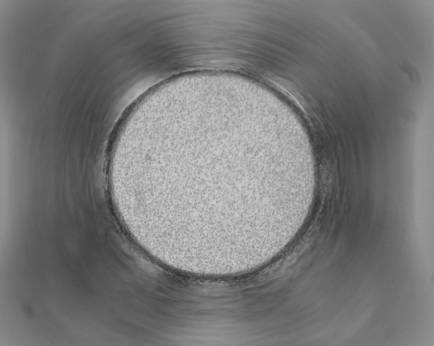 X0000110911071200907301536