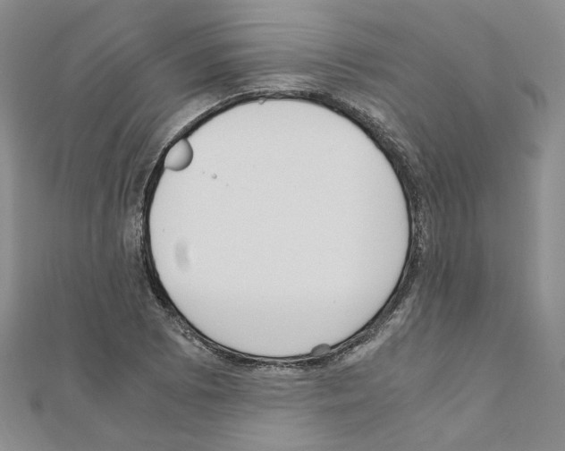 X0000110911073200907301536