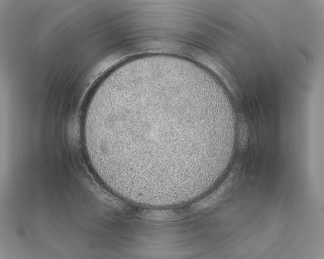 X0000110911074200907301536