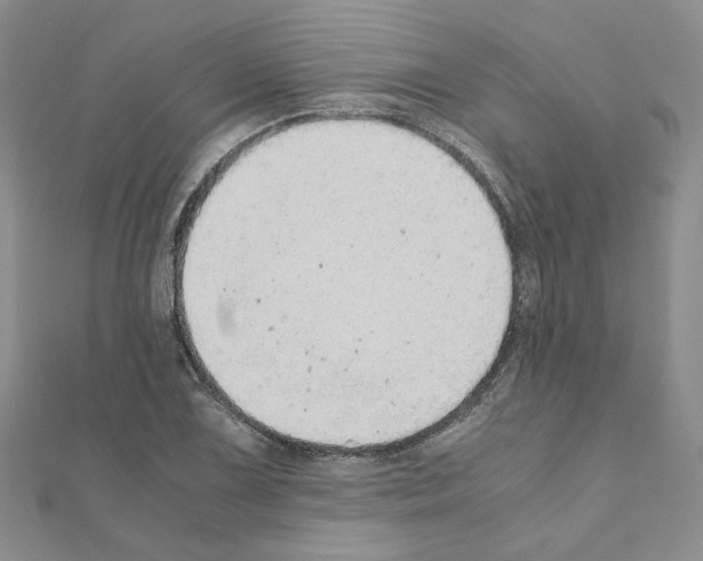 X0000110911075200907301536