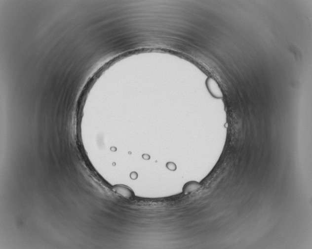 X0000110911076200907301536