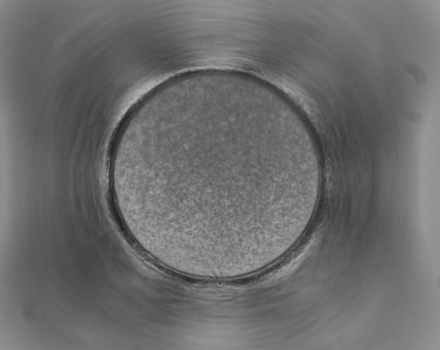 X0000110911077200907301536