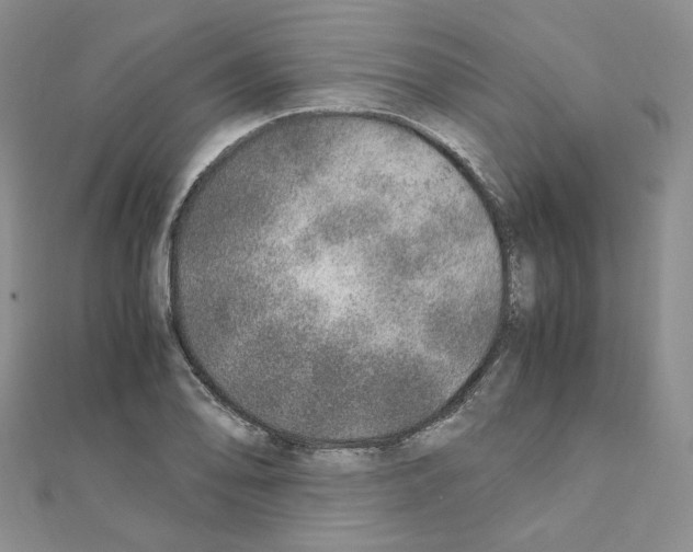 X0000110911078200907301536