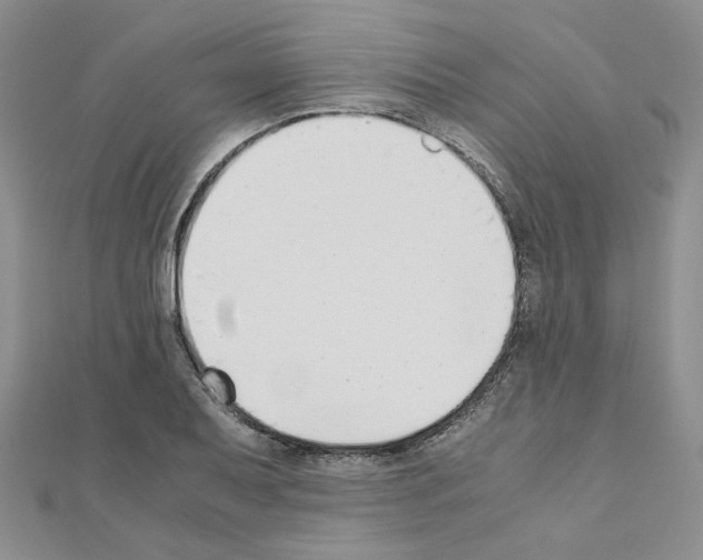 X0000110911079200907301536