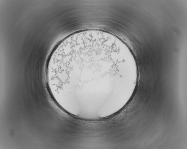 X0000110911080200907301536