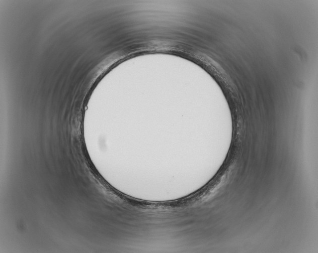 X0000110911081200907301536