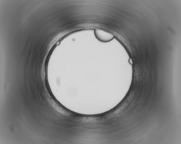 X0000110911082200907301536