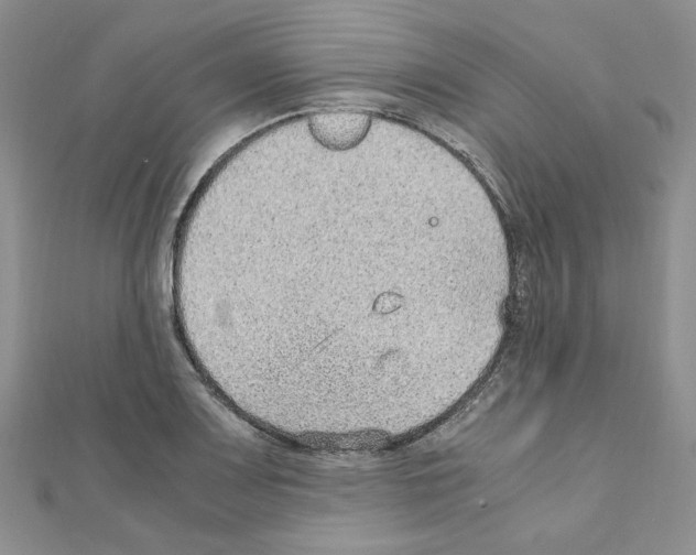 X0000110911083200907301536