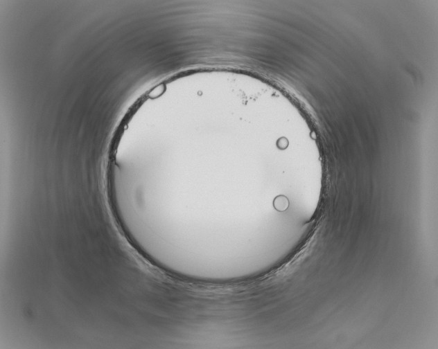 X0000110911085200907301536