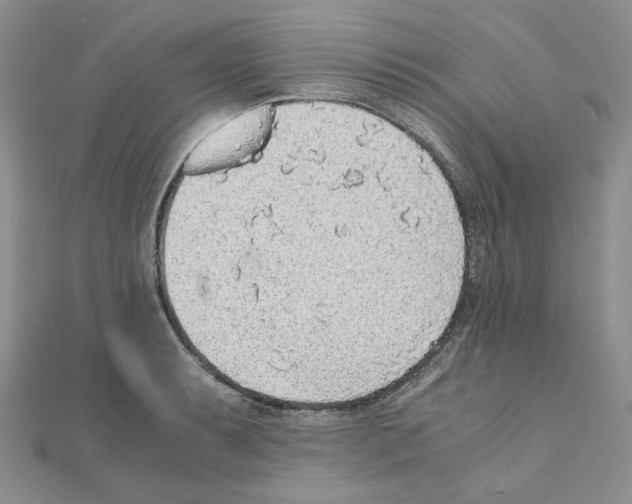 X0000110911087200907301536