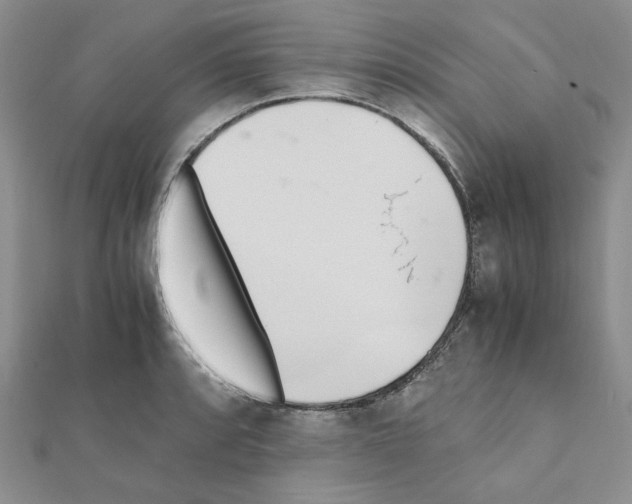 X0000110911088200907301536