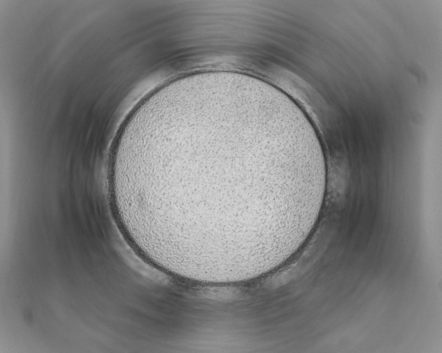 X0000110911090200907301536