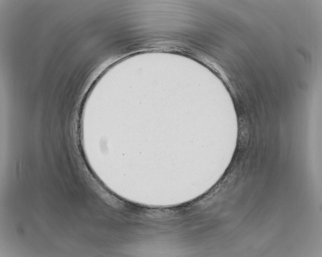 X0000110911091200907301536