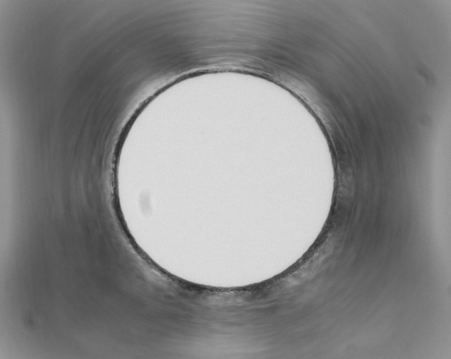 X0000110911093200907301536