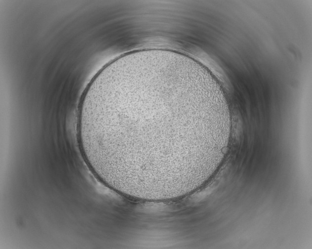 X0000110911094200907301536