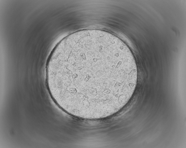 X0000110911095200907301536