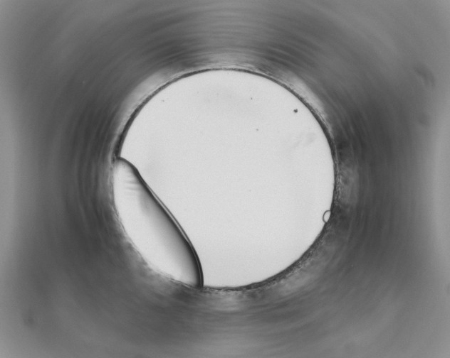 X0000110911096200907301536