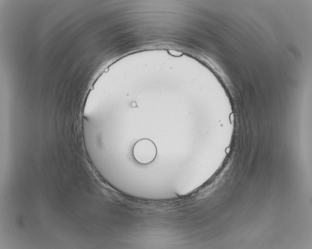 X0000110911097200907301536